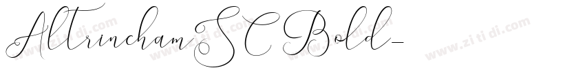 AltrinchamSC Bold字体转换